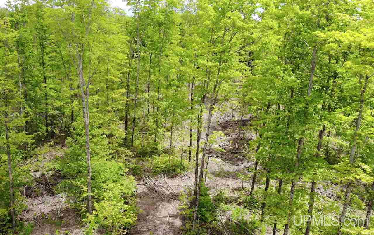 Tbd Crooked Road Chassell, MI 49916 - Photo 9 of 18 Gallery Image 9