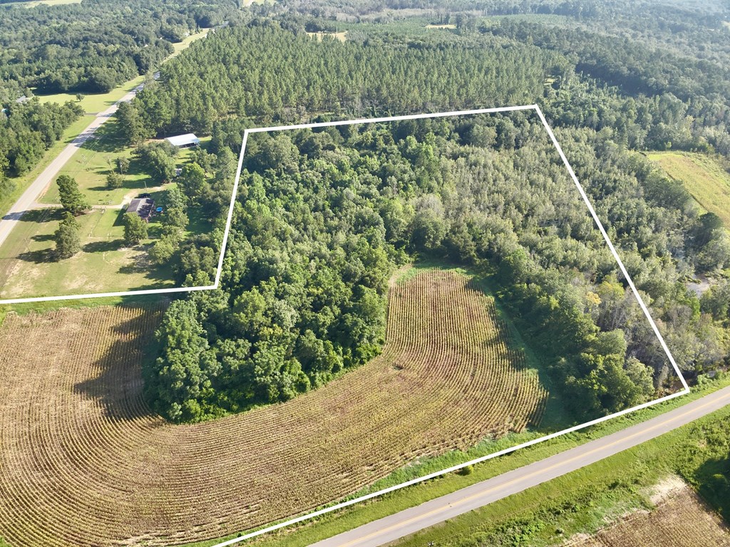 17.57-acres Red Oak Road Florala, AL 36442 - Photo 5 of 11
