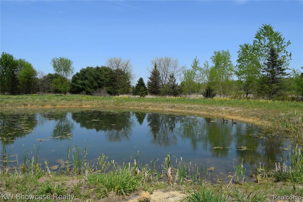 V/l McClements Road Brighton, MI 48114 - Photo 7 of 7
