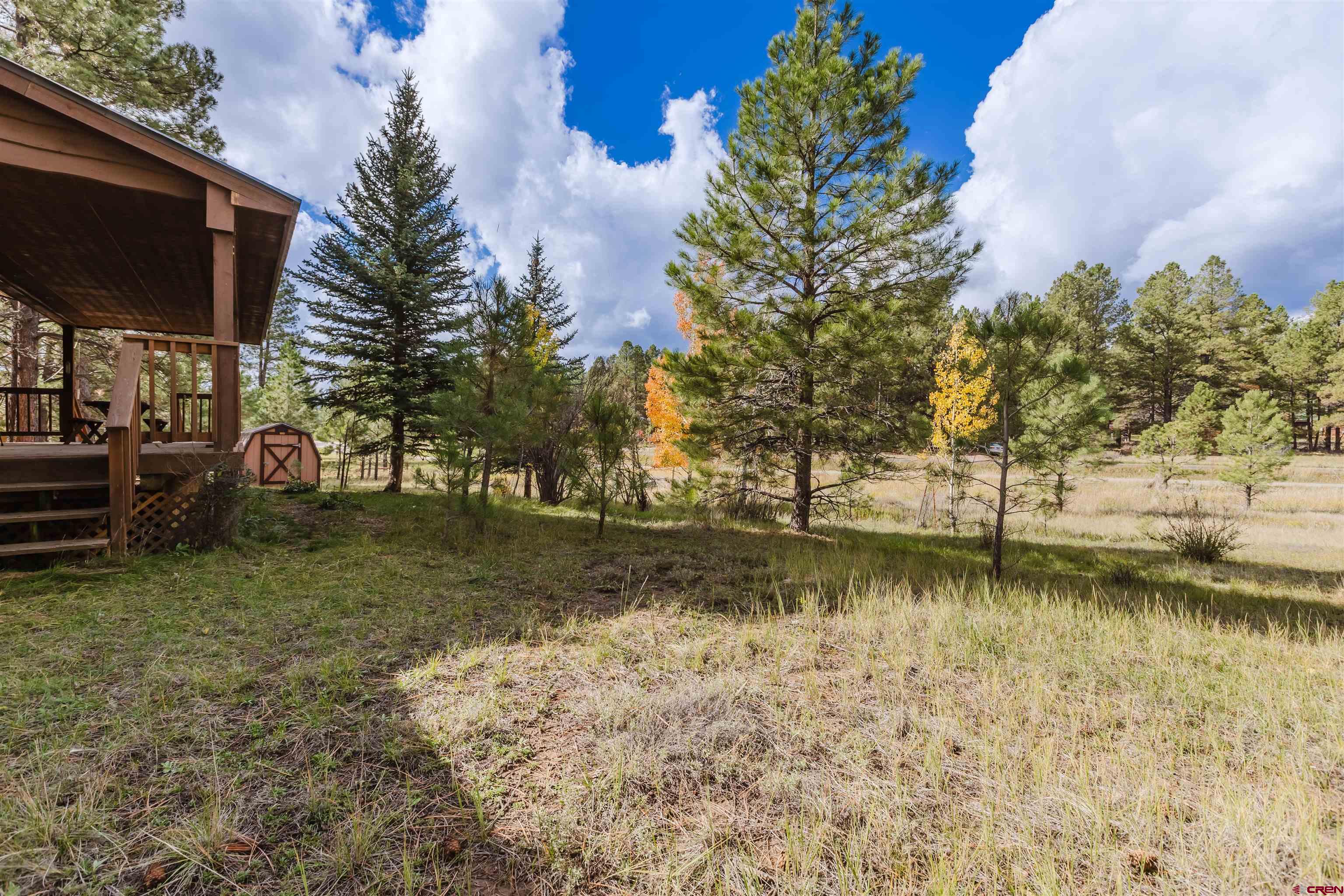 285 Beaver Circle Pagosa Springs, CO 81147 - Photo 13 of 42 a view of a yard with plants and trees