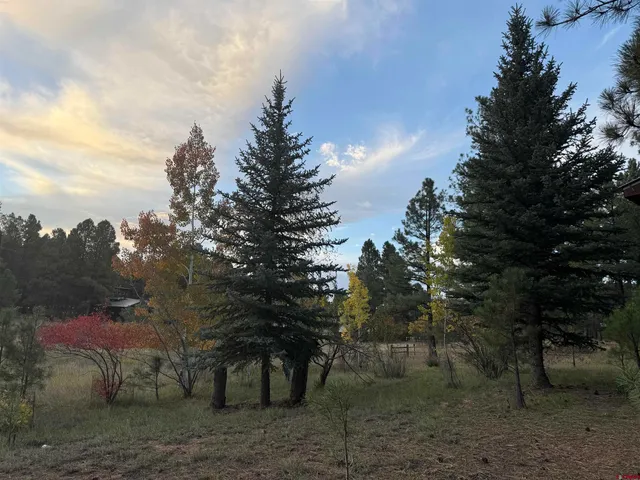 a view of a outdoor space with trees