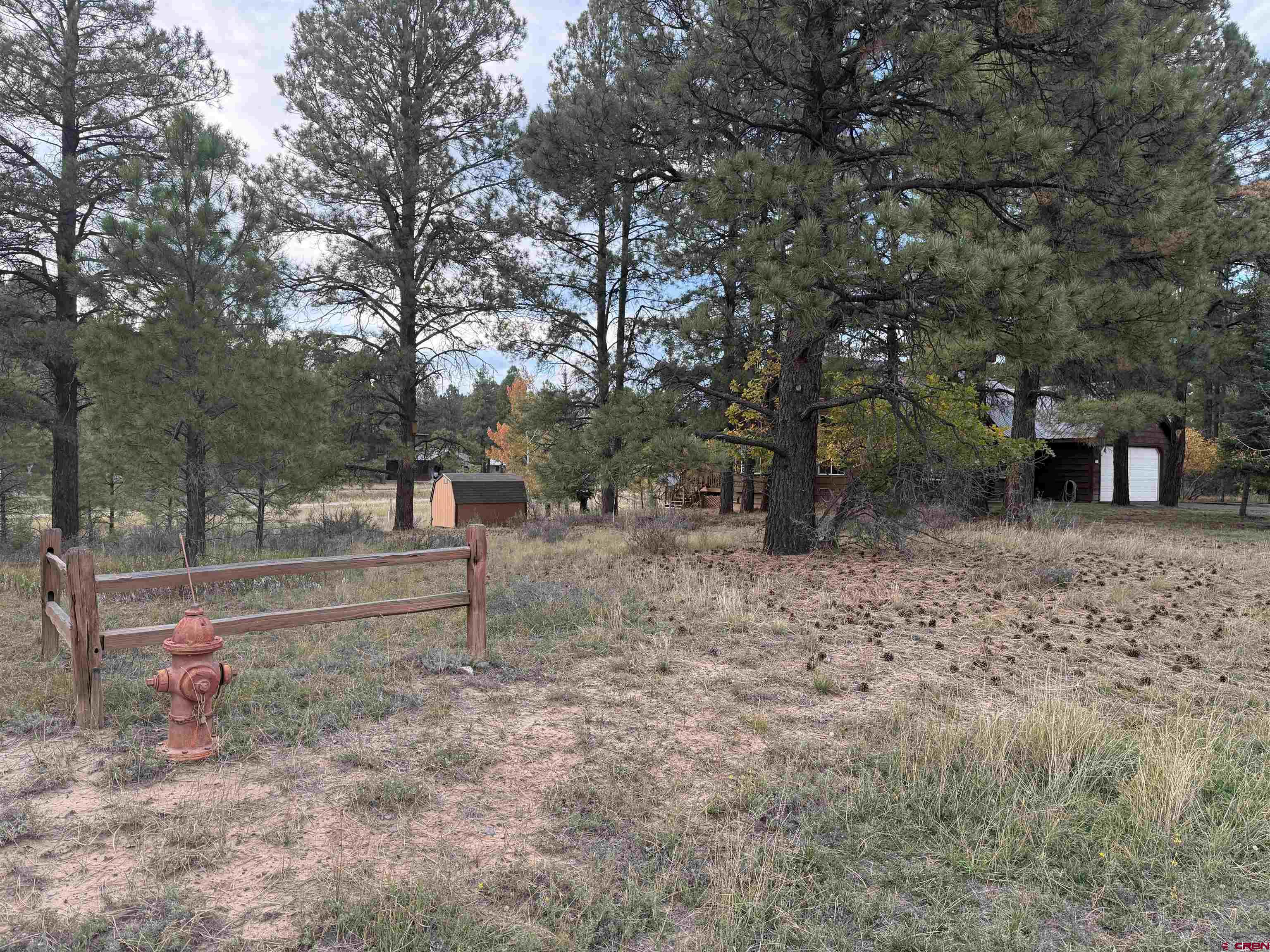 285 Beaver Circle Pagosa Springs, CO 81147 - Photo 38 of 42 a view of park with trees