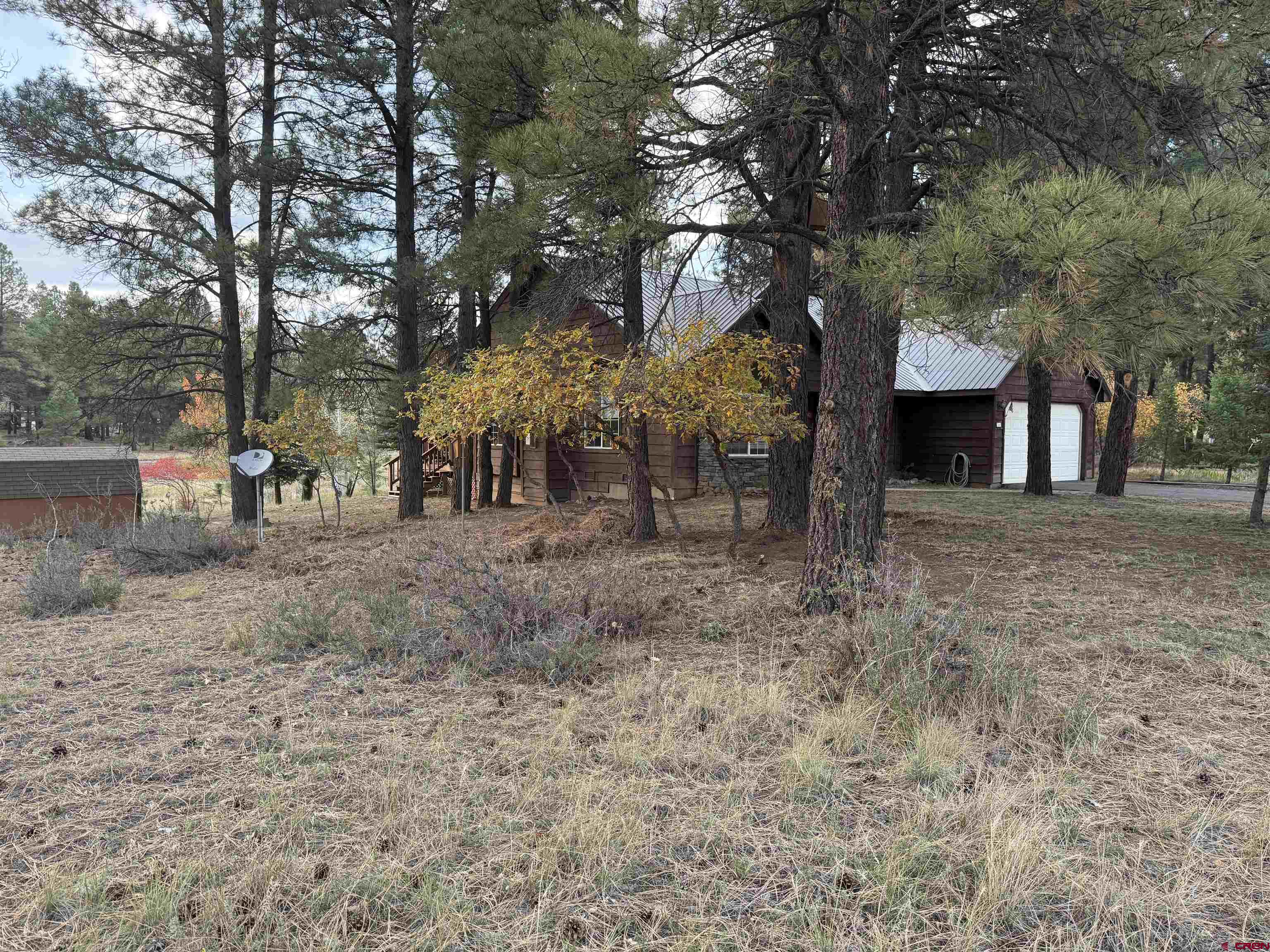 285 Beaver Circle Pagosa Springs, CO 81147 - Photo 39 of 42 a backyard of a house with lots of green space