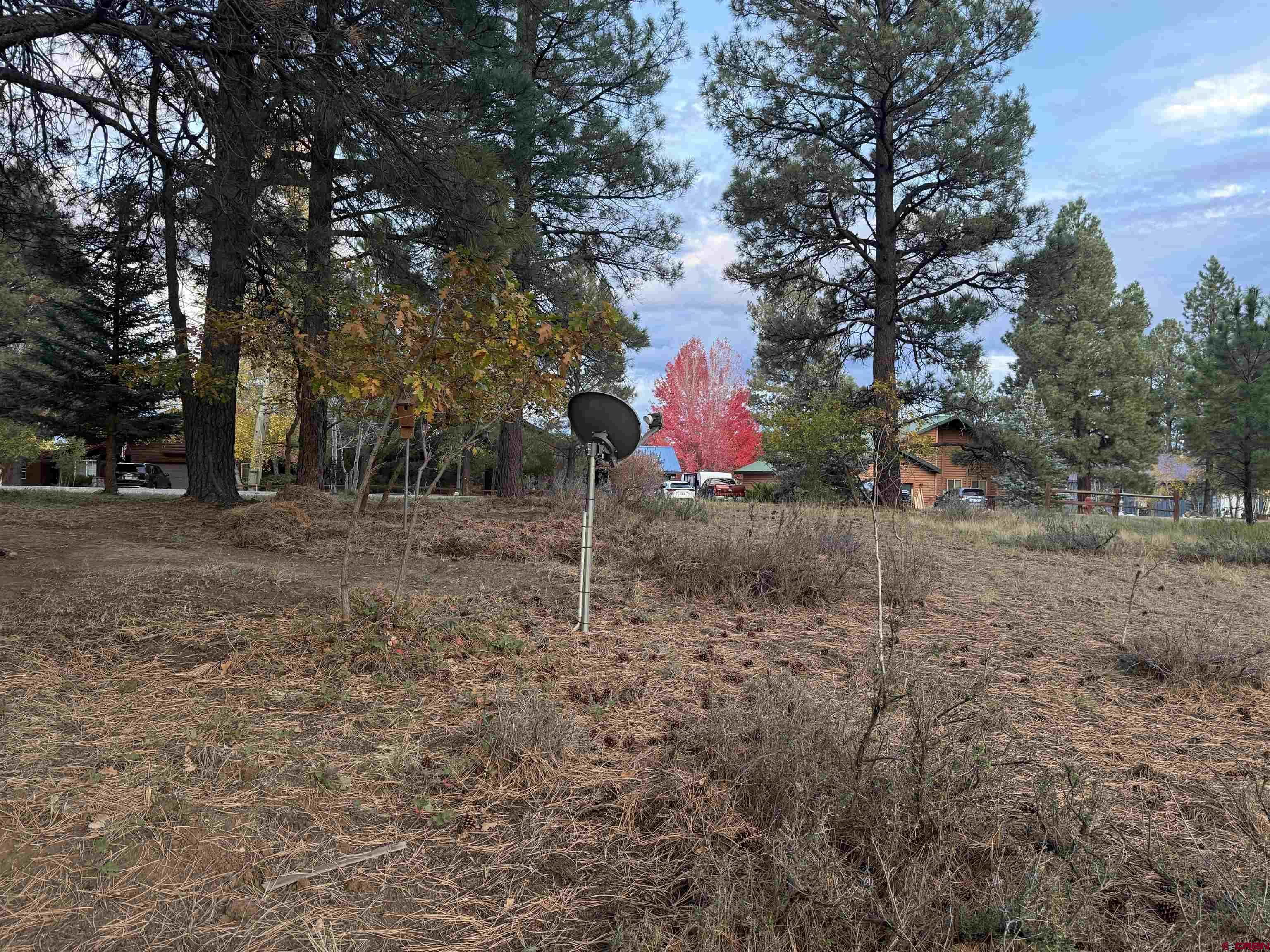 285 Beaver Circle Pagosa Springs, CO 81147 - Photo 40 of 42 a backyard of a house with lots of green space