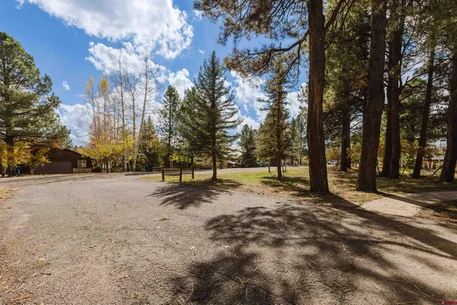 a view of empty space with trees