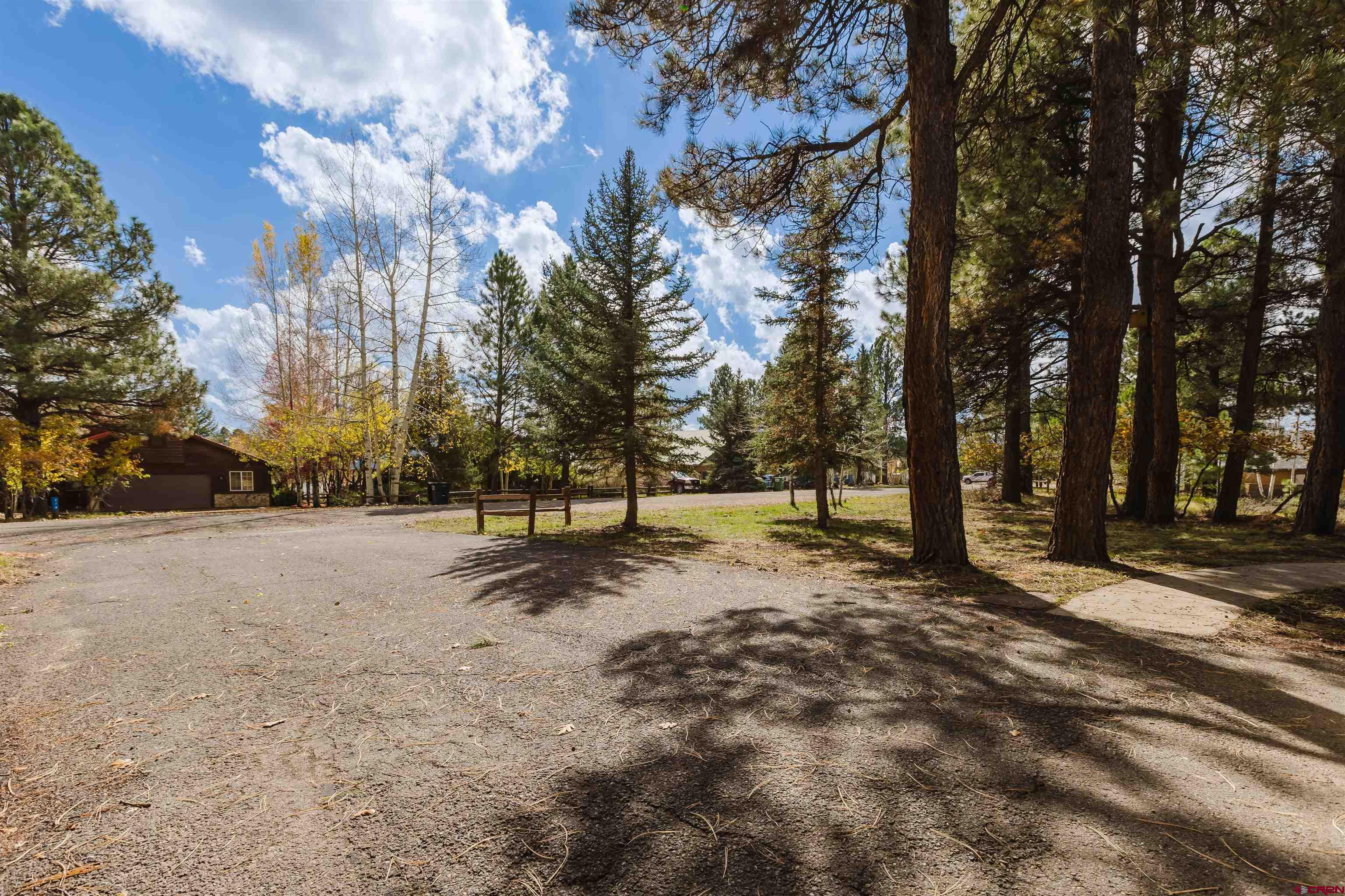285 Beaver Circle Pagosa Springs, CO 81147 - Photo 41 of 42 a view of empty space with trees