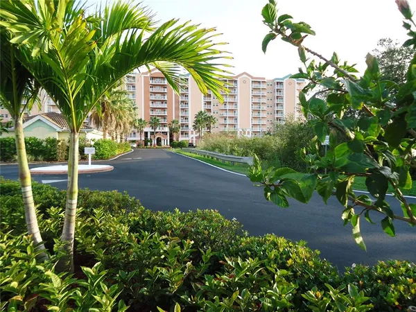 a view of a garden with a pathway