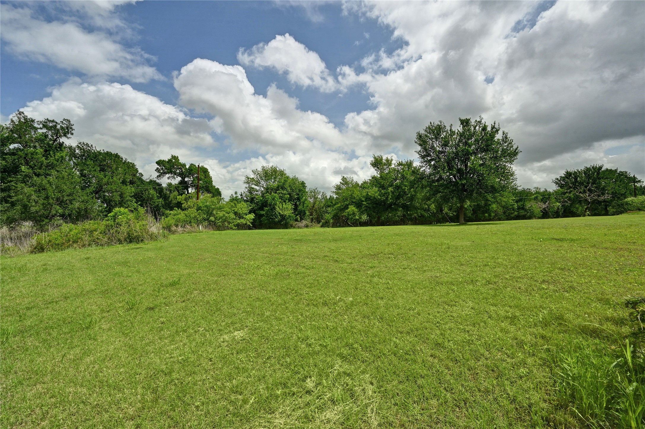 1700 Tanner Loop Taylor, TX 76574 - Photo 28 of 32 Expansive green space featuring mature trees bordering the perimeter