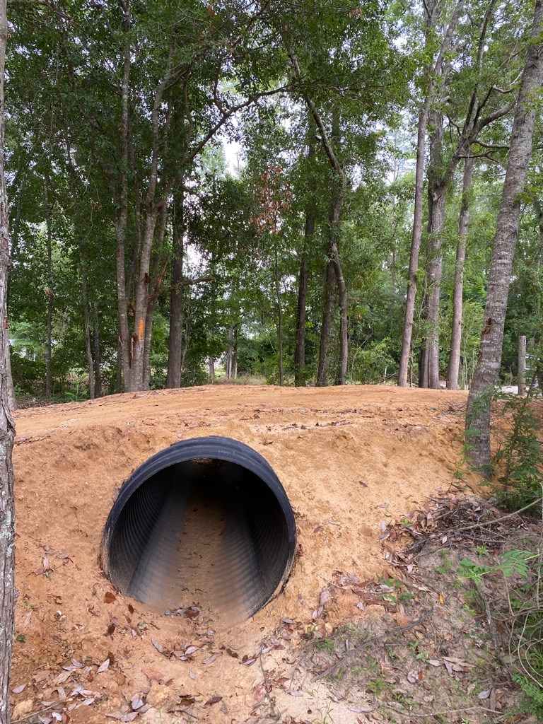 2242 Coot Adams Road Ashford, AL 36312 - Photo 7 of 39