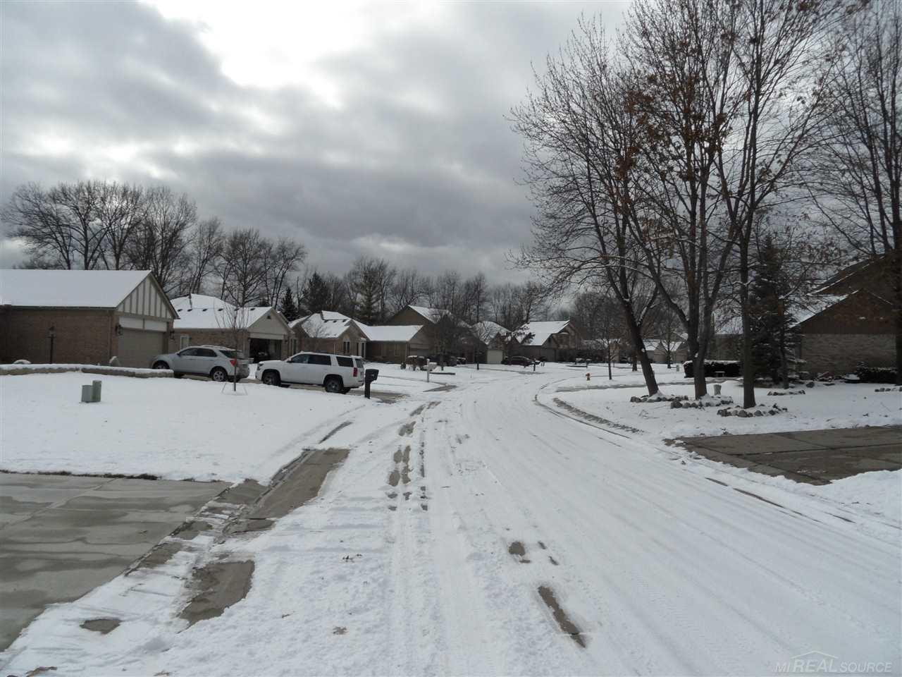 454 Daylily Drive Rochester, MI 48307 - Photo 38 of 41 street view