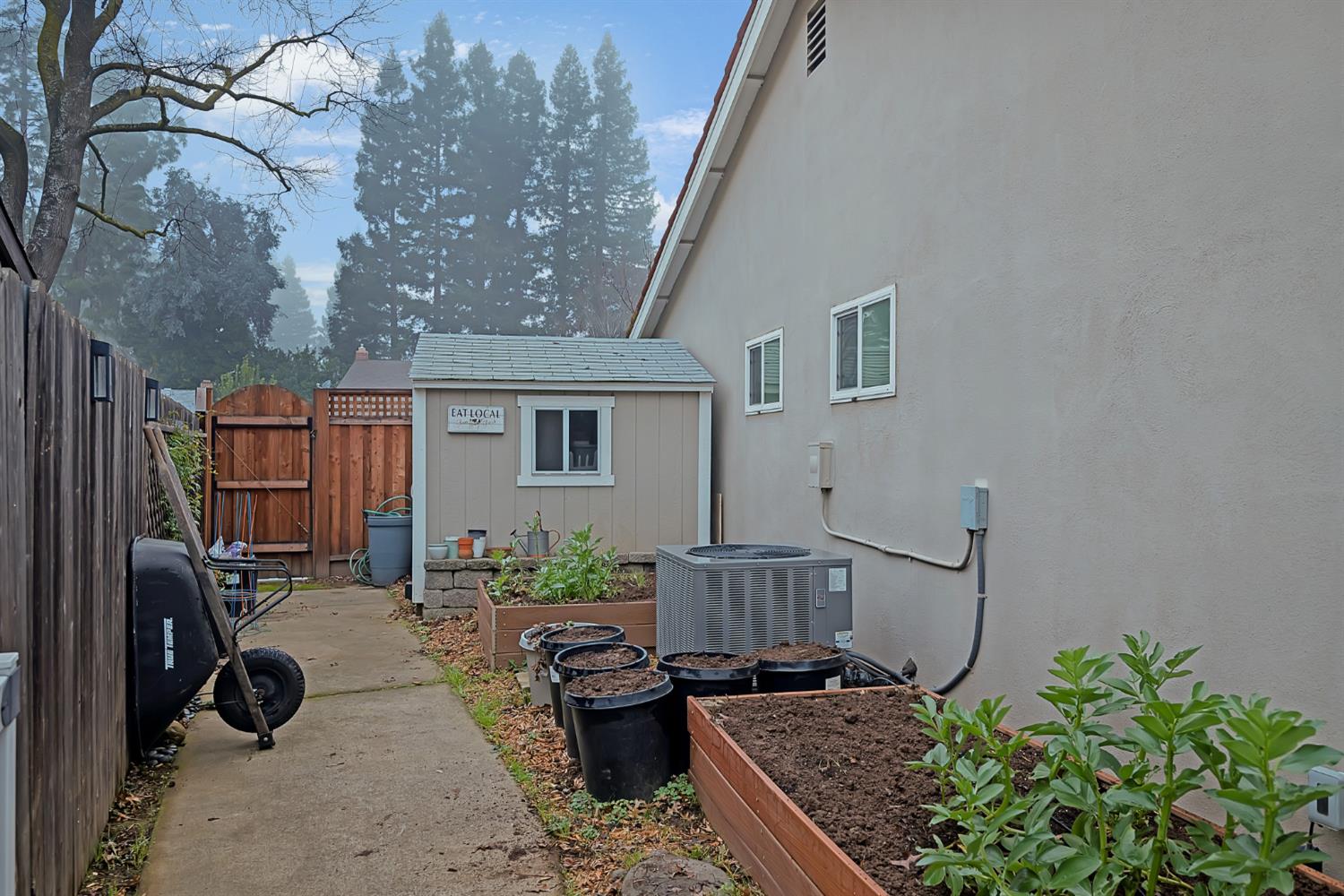 5220 Shelato Way Carmichael, CA 95608 - Photo 34 of 40 a living room with furniture and a potted plant