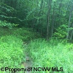 1308 Sand Run Road Davis, WV 26260 - Photo 25 of 30 Gallery Image 25