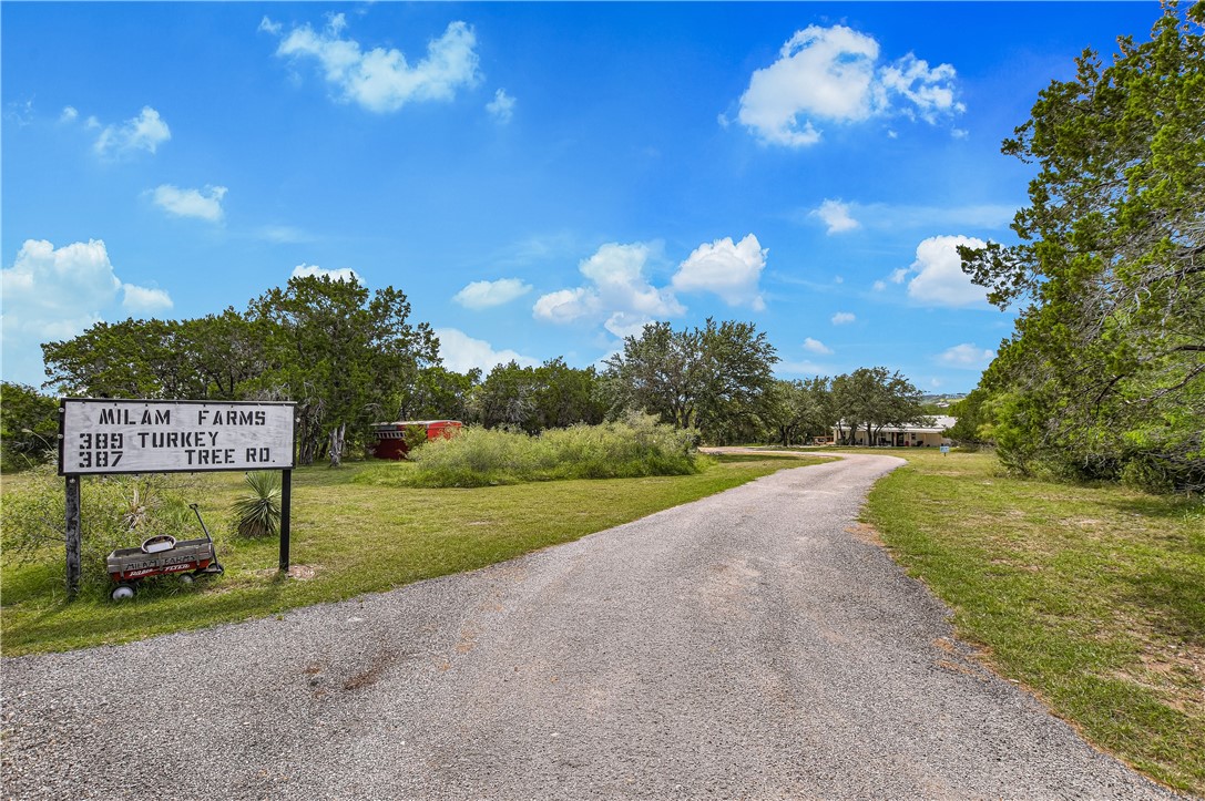 389 Turkey Tree Road Spicewood, TX 78669 - Photo 1 of 1