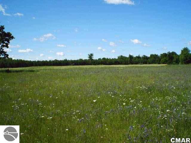 Tbd Tbd Brinton Road Blanchard, MI 49310 - Photo 18 of 24 1769811-17.JPG