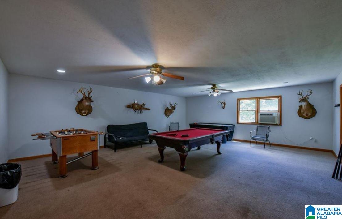 430 Highway 17 Carrollton, AL 35447 - Photo 52 of 67
