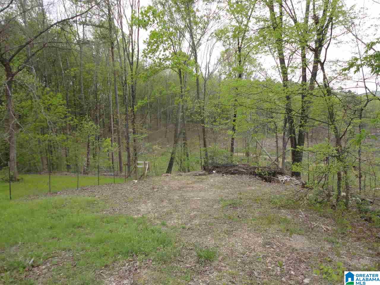 1 Quail Point Way, Unit 1 Centre, AL 35960 - Photo 9 of 12