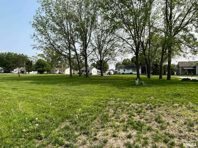 a view of a grassy field with trees