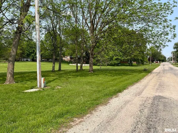 a view of a park with a tree