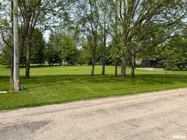 a view of a park with large trees