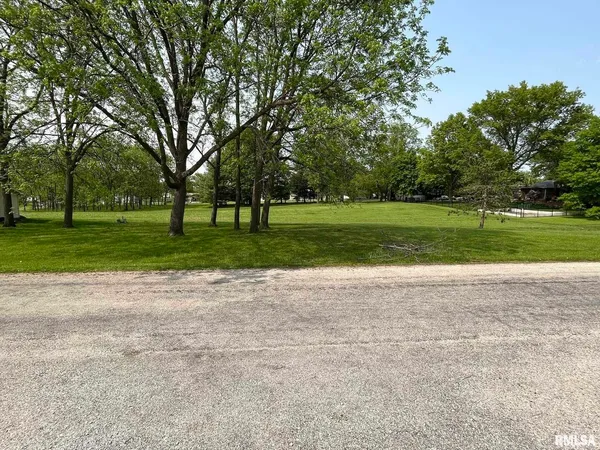 a view of a park with large trees