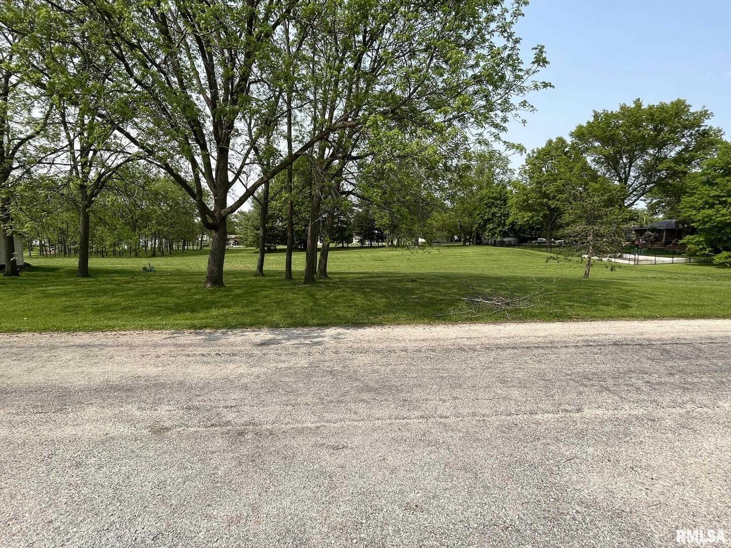 629 West Wells Street Geneseo, IL 61254 - Photo 4 of 5 a view of a park with large trees