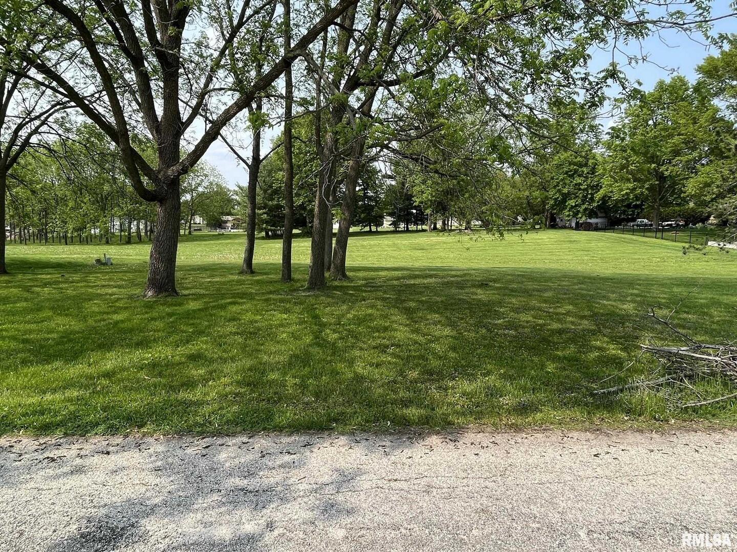 629 West Wells Street Geneseo, IL 61254 - Photo 5 of 5 a huge green field with lots of trees