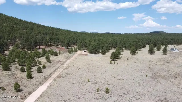 a view of a lake with a mountain