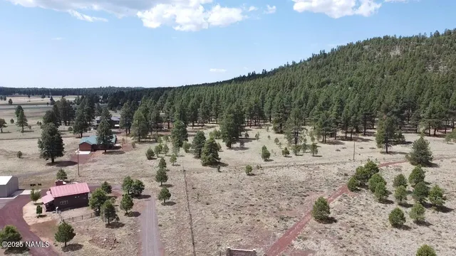 a view of a yard with a tree