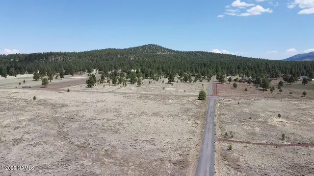 a view of a dry yard with trees