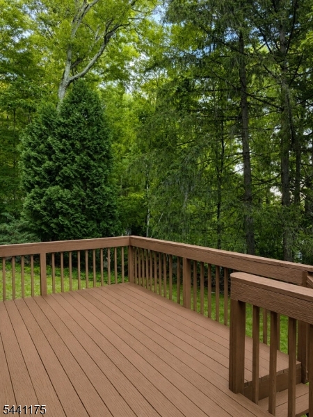 26 Mountain Road Ledgewood, NJ 07852 - Photo 18 of 24