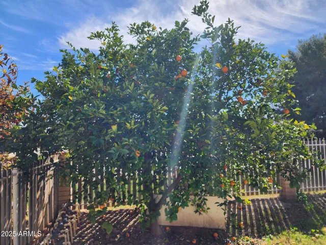 front view of a house with a small yard