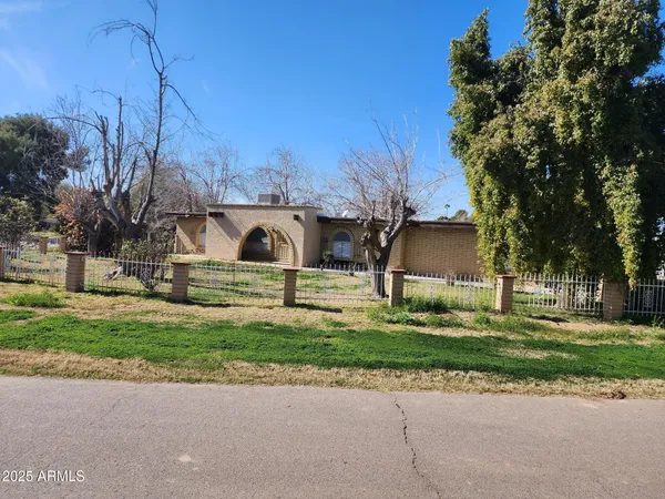 a garden view with large trees