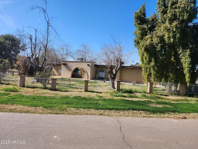 a garden view with large trees