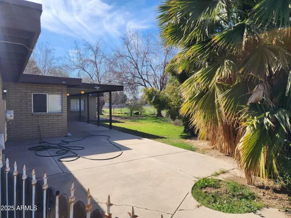 a view of a yard with plants and a tree