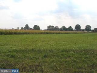 a view of a lake from a yard