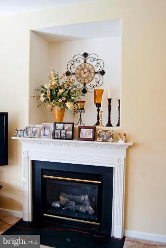 806 Rayquick Road Warrenton, VA 20186 - Photo 14 of 30 Fireplace