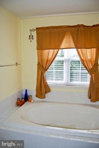 806 Rayquick Road Warrenton, VA 20186 - Photo 23 of 30 Master Bath