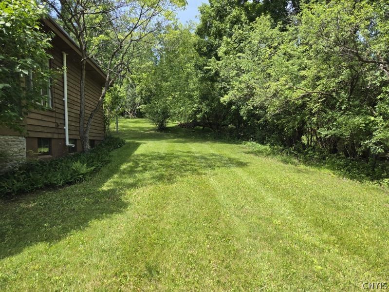 4581 Broad Road Onondaga, NY 13215 - Photo 27 of 29 side yard