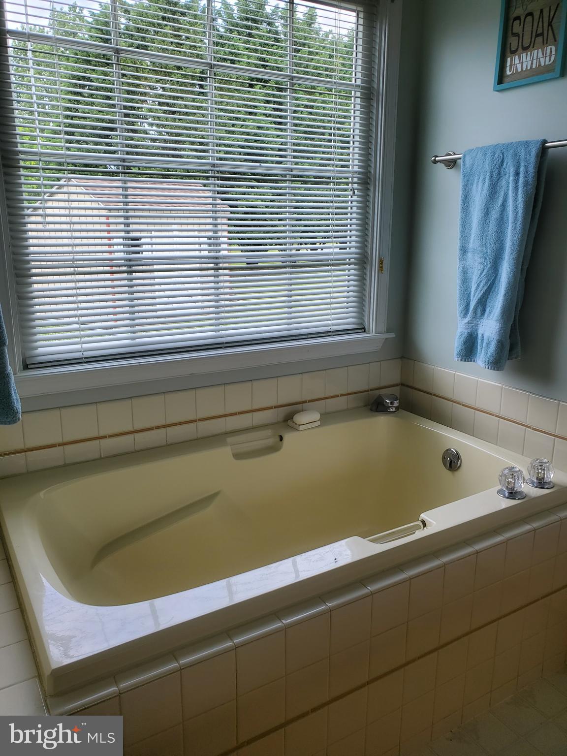 3820 Wrights Wharf Road Hurlock, MD 21643 - Photo 21 of 61 Master Bath
