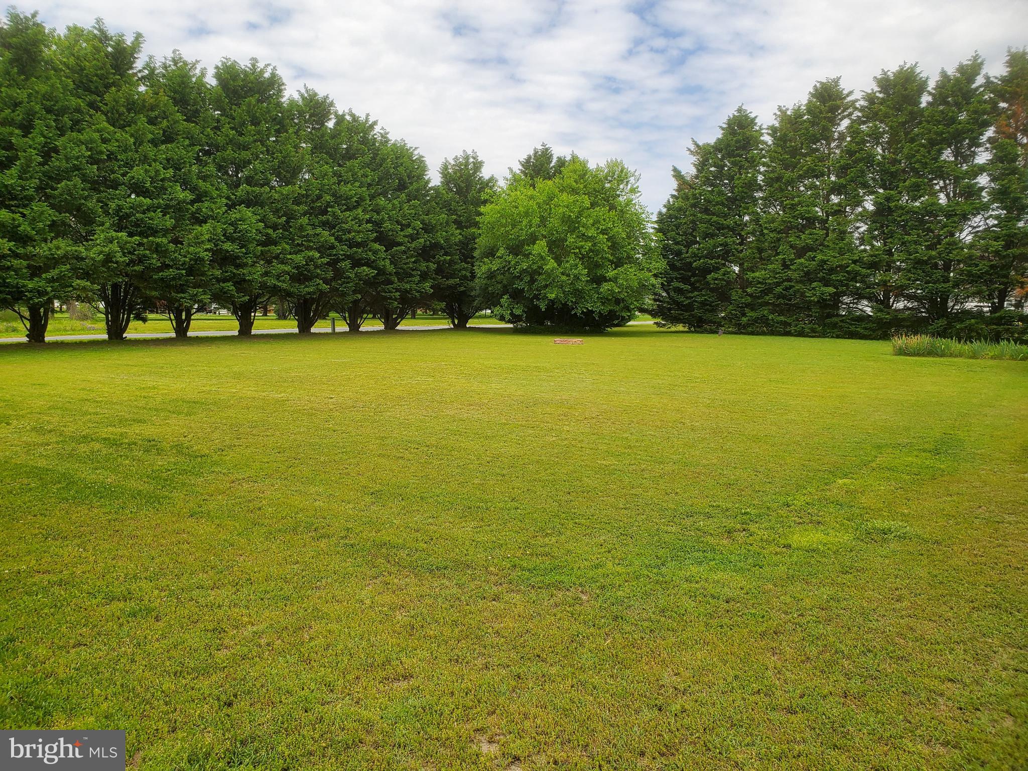 3820 Wrights Wharf Road Hurlock, MD 21643 - Photo 34 of 61 Large back yard