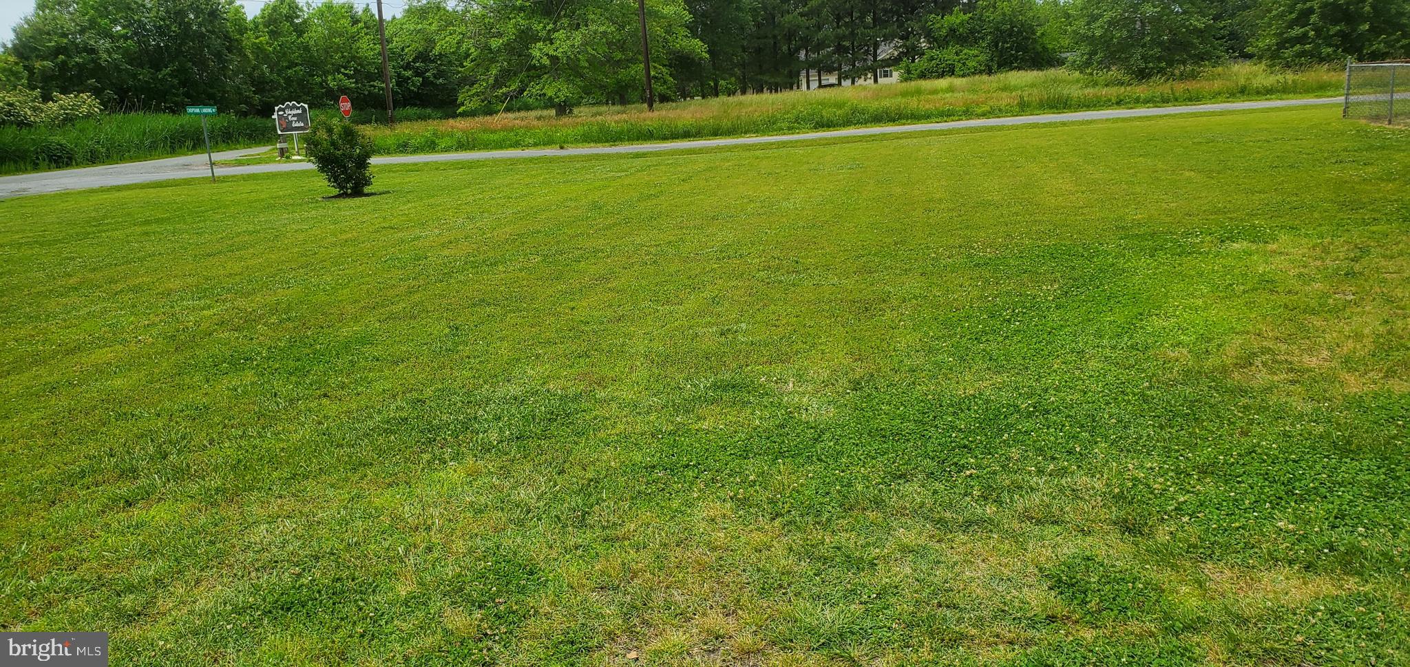 3820 Wrights Wharf Road Hurlock, MD 21643 - Photo 41 of 61 Side street view
