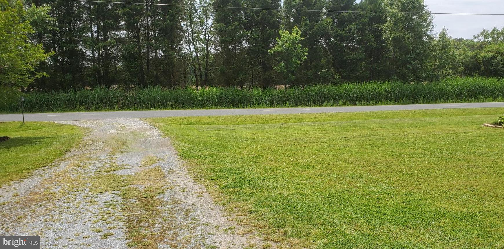 3820 Wrights Wharf Road Hurlock, MD 21643 - Photo 42 of 61 View across street