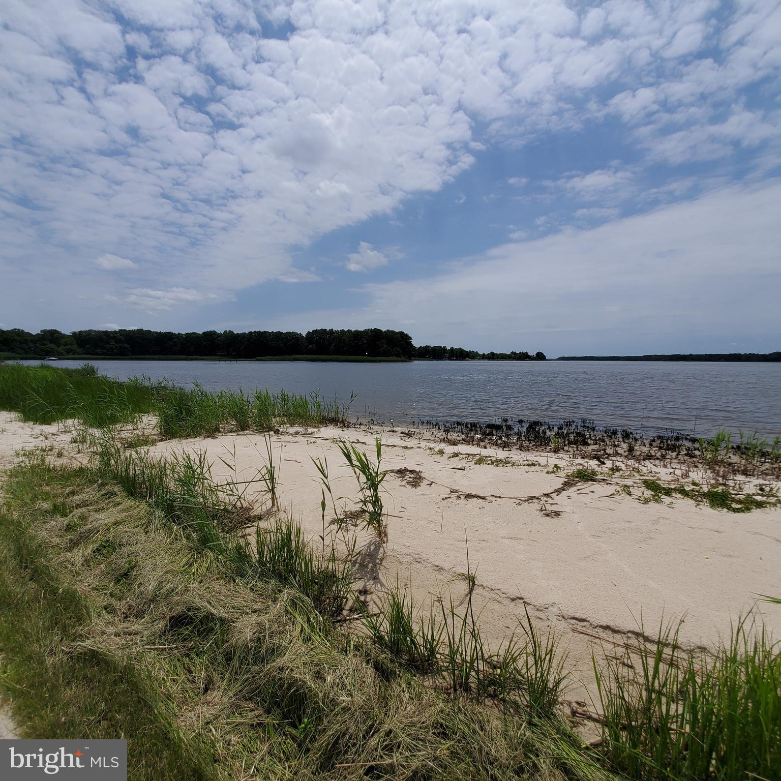 3820 Wrights Wharf Road Hurlock, MD 21643 - Photo 49 of 61 Choptank Cove