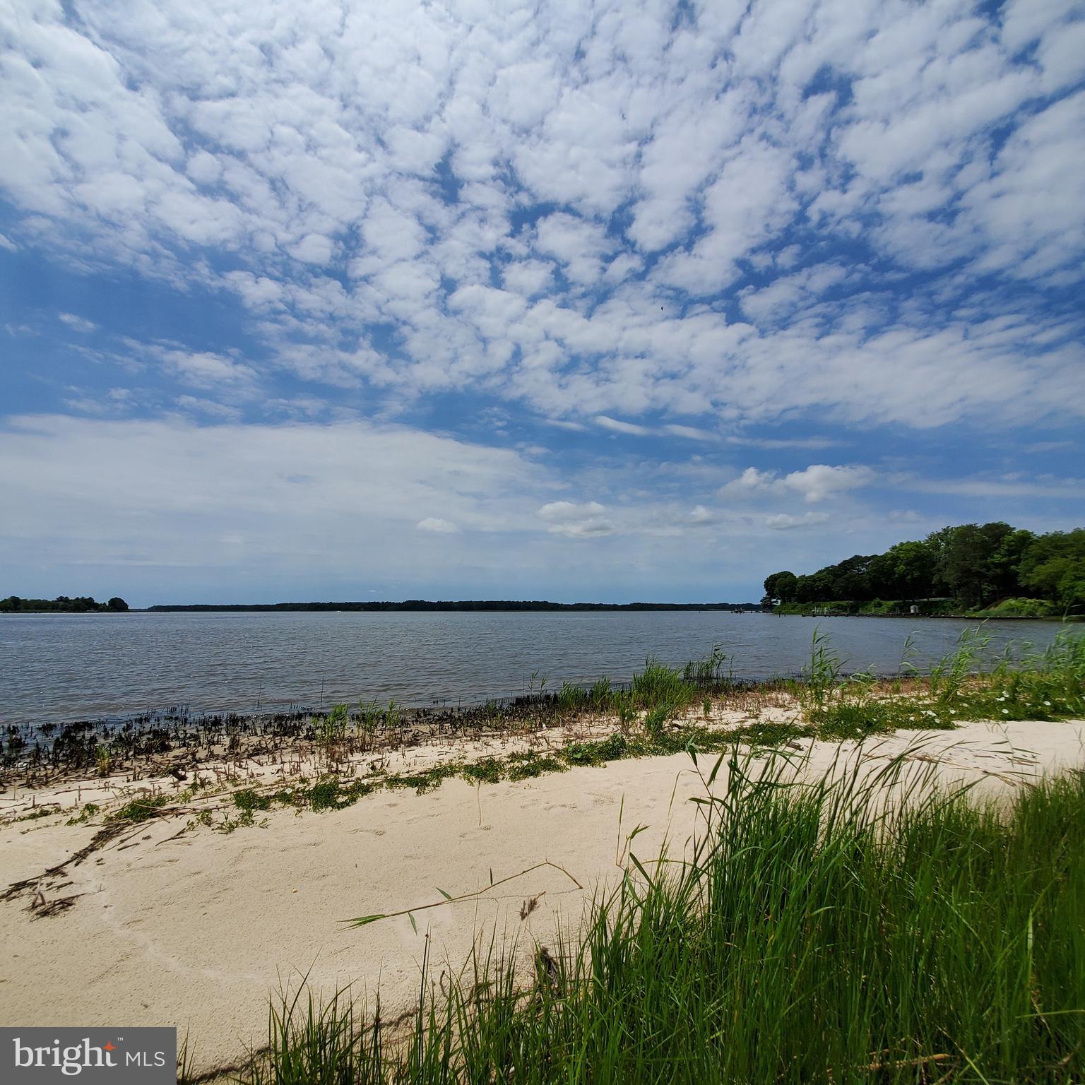 3820 Wrights Wharf Road Hurlock, MD 21643 - Photo 50 of 61 Choptank Cove
