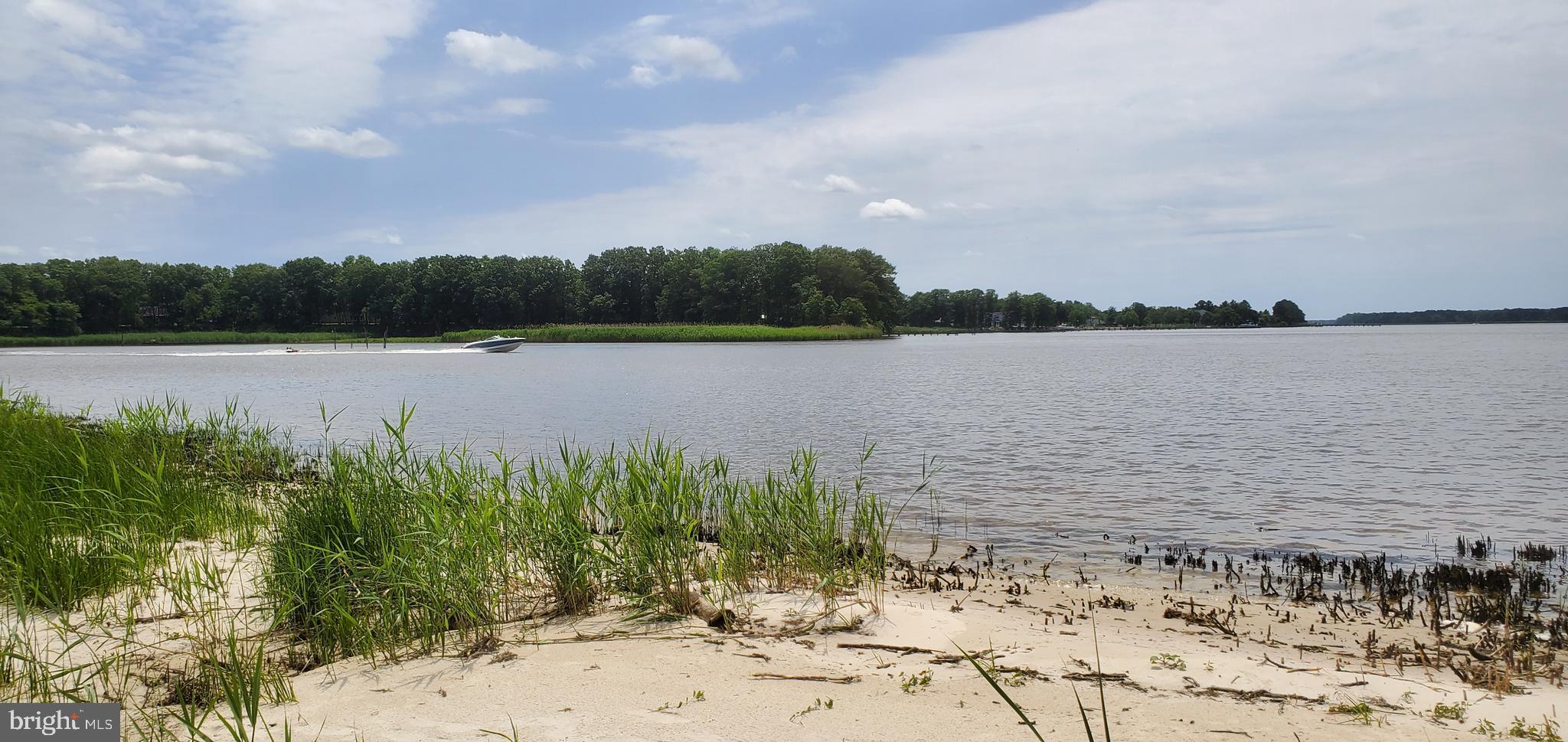 3820 Wrights Wharf Road Hurlock, MD 21643 - Photo 52 of 61 Choptank Cove