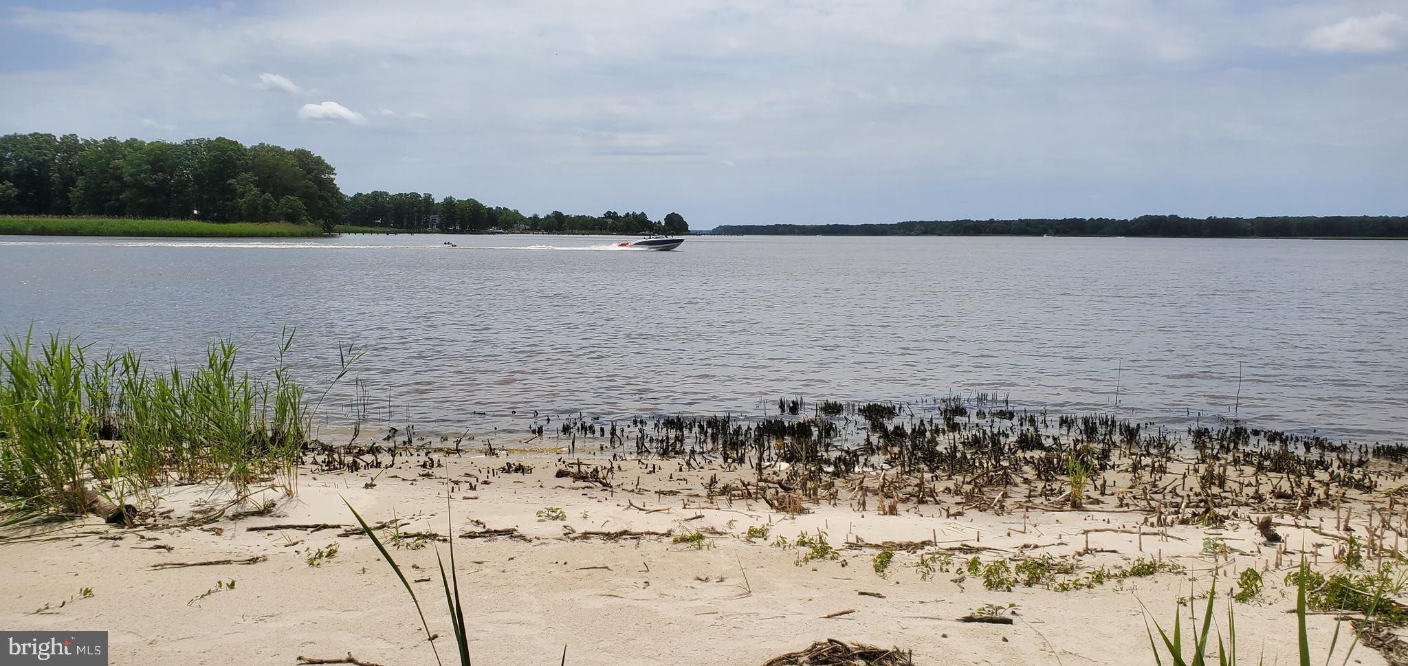 3820 Wrights Wharf Road Hurlock, MD 21643 - Photo 53 of 61 Choptank Cove