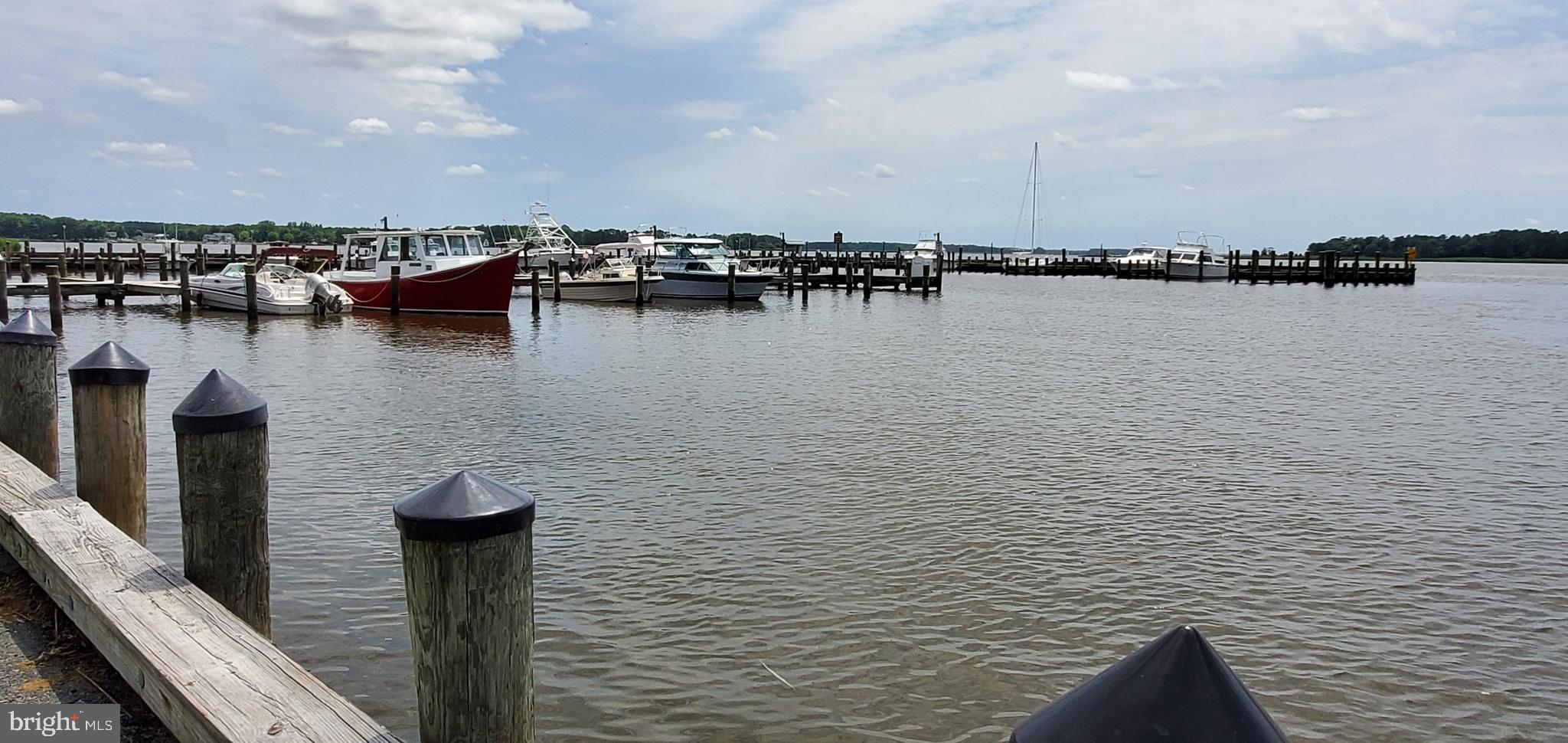 3820 Wrights Wharf Road Hurlock, MD 21643 - Photo 57 of 61 Choptank Marina