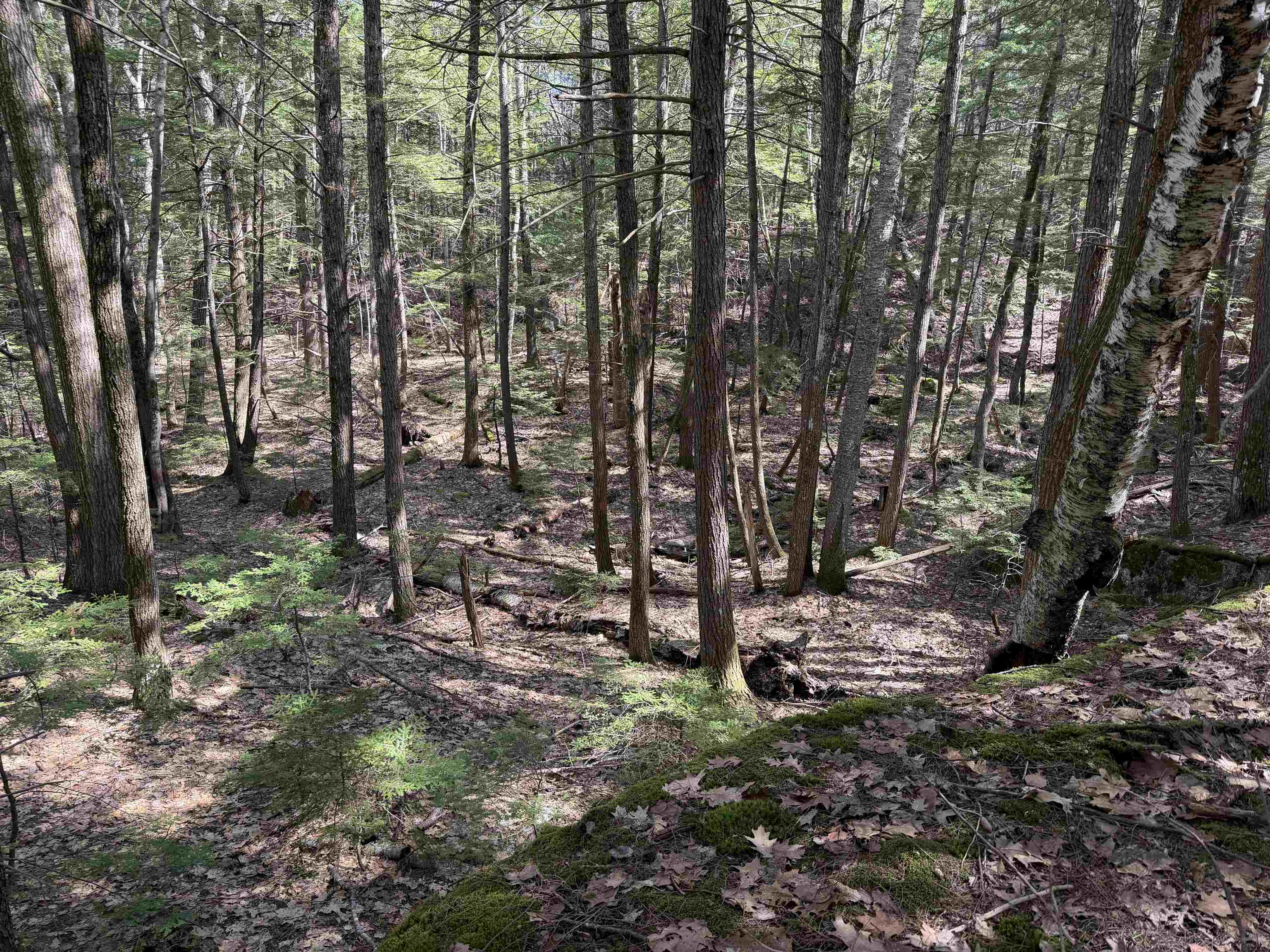 R29-l9 Roxbury Road, Unit LOT 9 Meredith, NH 03253 - Photo 30 of 36