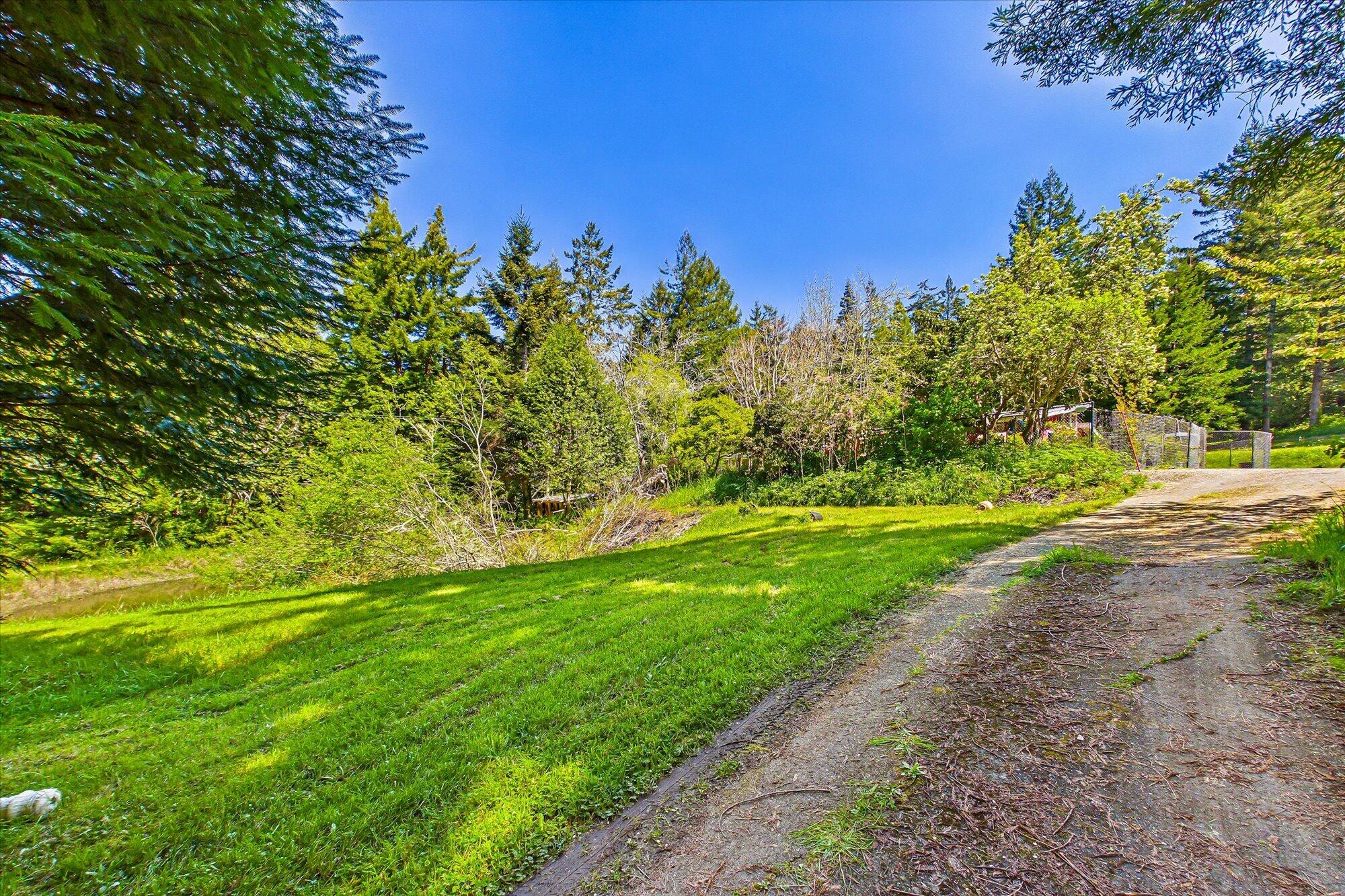 1430 Fox Creek Road Carlotta, CA 95528 - Photo 74 of 76