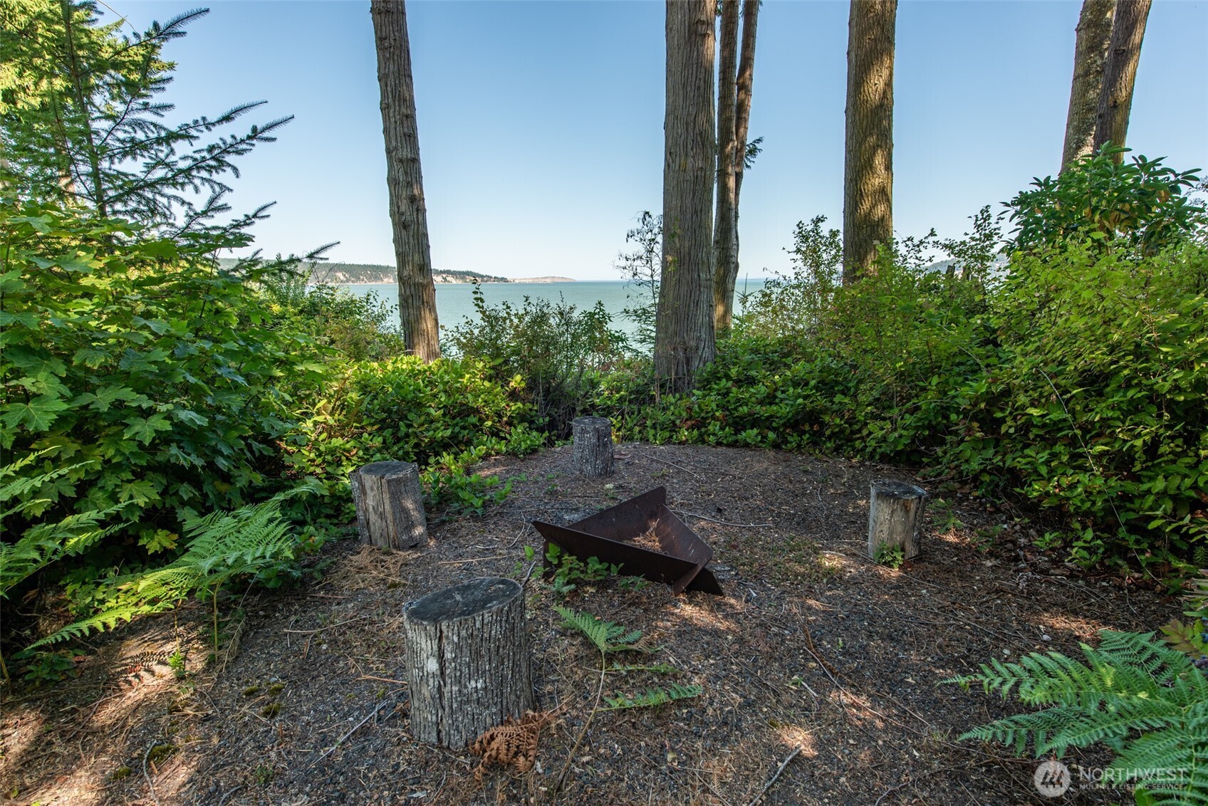 681 Bachelor Road Sequim, WA 98382 - Photo 28 of 39 a view of a garden with plants